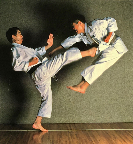 Kanazawa Hirokazu  Soke ( Grand Master )